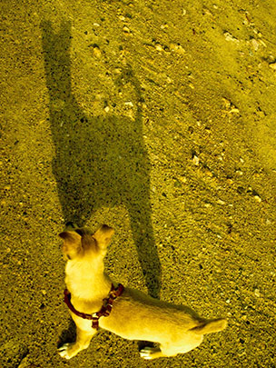  ENCARNACIÓN ALVAREZ [Bilbao] _ scooby doo? 