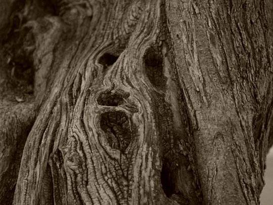  FUENSI MORENO [Sabadell-Barcelona] _ scream 