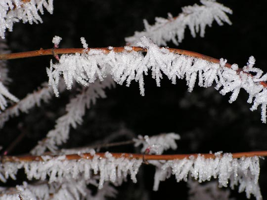  SÍLVIA SOLÉ [Salou-Tarragona] _ sentirse frágil 