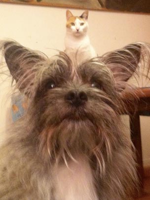  ANA MARÍA BARREIRO [A Coruña] _ siempre en mi cabeza 