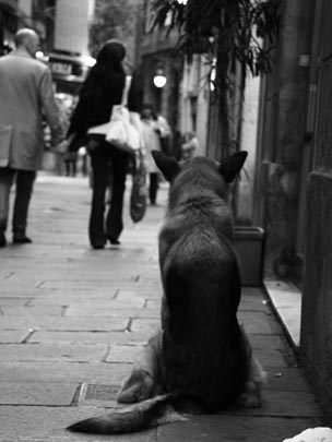  AINA CHOY [Mollet del Vallès-Barcelona] _ siempre esperando 