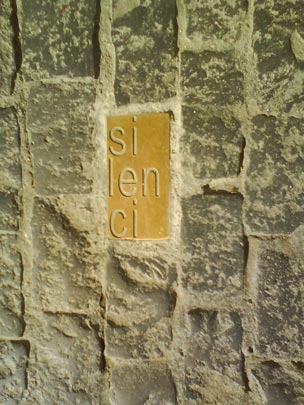  ALBA SALVAT [Barcelona] _ silenci en la plaça de l'ajuntament de bcn 