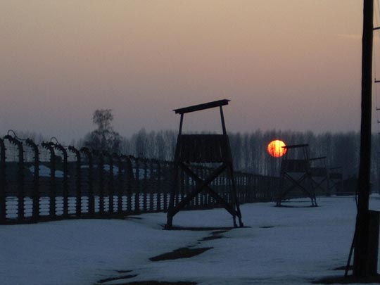  EVA NIETO [Madrid] _ sin palabras 