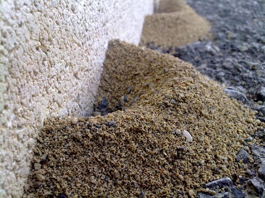  JOAQUIN ANTOLIN [Bigastro-Alicante] _ sinergia 