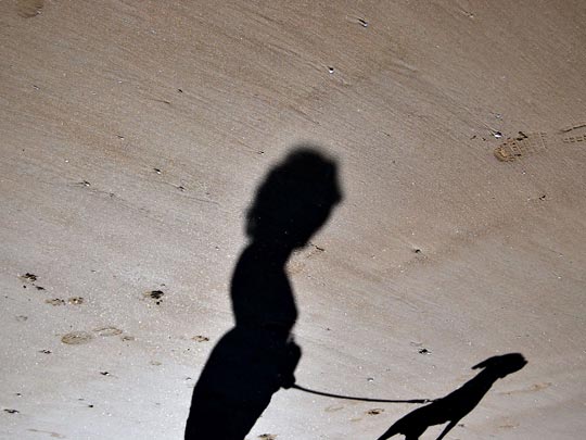  CRISTINA LORENZO [Sevilla] _ sombras 