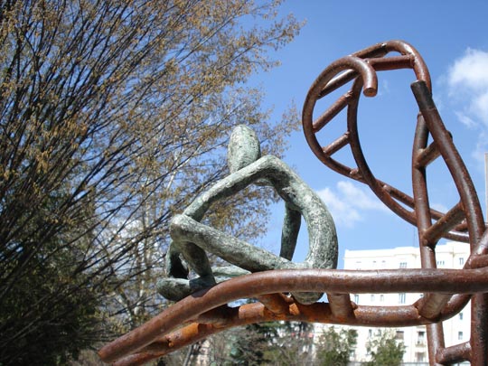  ARIANA SANTAMARIA [Villaviciosa-Asturias] _ soñar despierto 