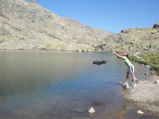  GEMA FERNANDEZ [Bergara-Gipuzkoa] _ super perro 