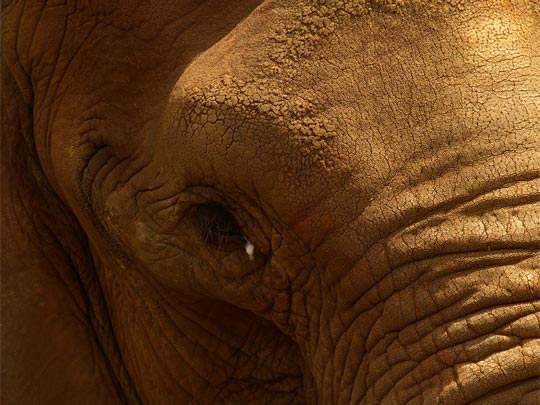  ESTIBALIZ GARCIA [Viana-Navarra] _ textura en la mirada 