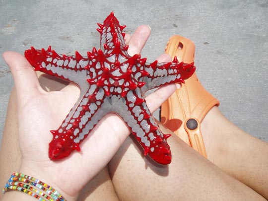  GLORIA SANTIAGO [Alicante] _ the colours of kenia 