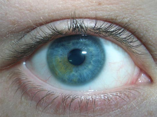  MARCOS SALGADO [Burela-Lugo] _ tierra 