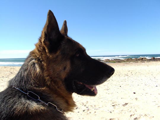  MARIA EUGENIA [Rosario-Argentina] _ timbó 