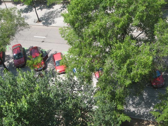 YANIRA VALLEJO [Madrid] _ ¡todos con la roja! 
