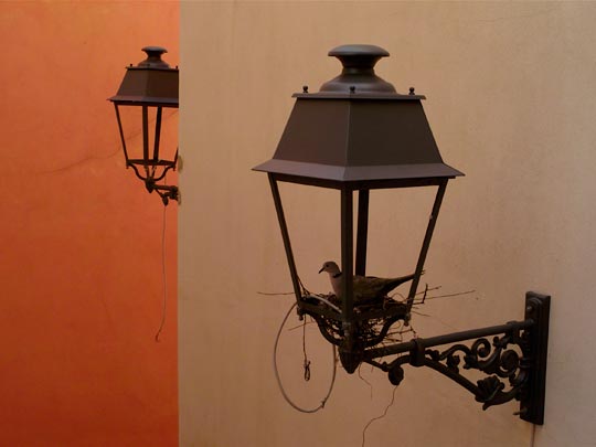  ETIENNE PAGES [Barcelona] _ tortolita abrazafarolas 