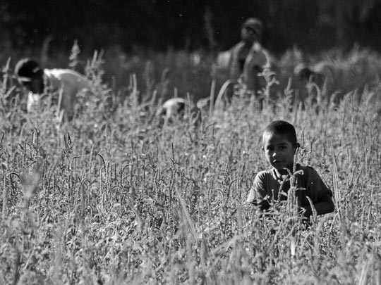  CARLOS VARELA [D.F.-México] _ trabajo infantil 