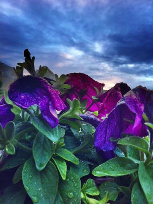  EVA NIETO [Madrid] _ tras la tormenta 