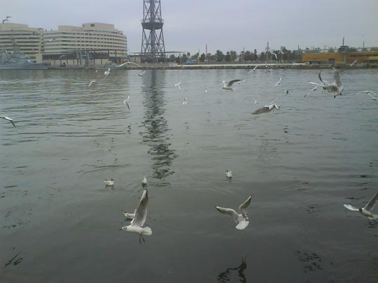  MONTSE AGUILERA [Barcelona] _ un día gris 