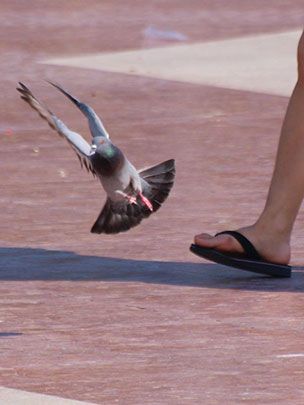  FERNANDO LÓPEZ [Gavà-Barcelona] _ uyyy! 