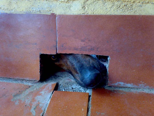  JORDI MARTÍNEZ [Premiá de Mar-Barcelona] _ ¿vecino tienes sal? 