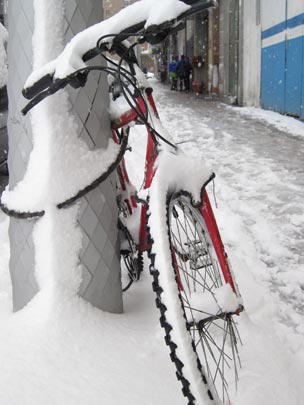  NEKANE VITORIA [Vitoria-Gasteiz-Álava] _ vehículo inmovilizado 