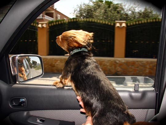  PILAR  CONDE [Orihuela-Alicante] _ velocidad 