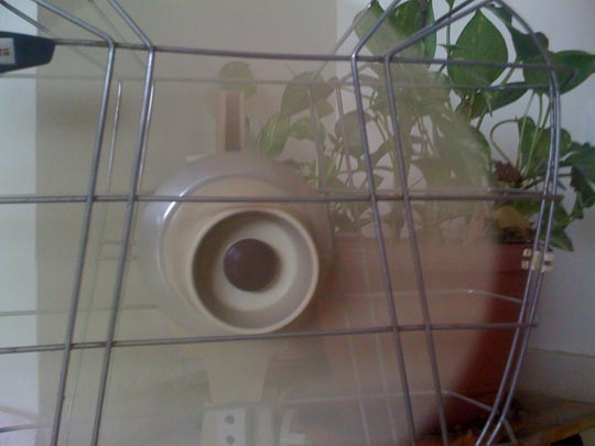  EDUARDO CRUZ [Sevilla] _ verano 