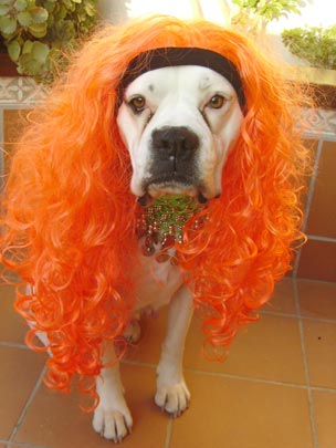  DIANA MAYO [Nerja-Málaga] _ víctima del carnaval 