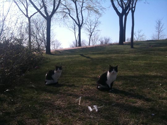  ALFONSO GUERRERO [Madrid] _ vida en pareja 