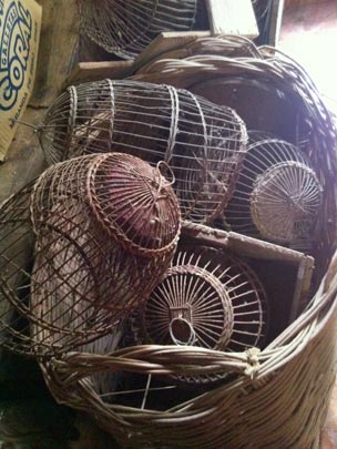  EVA NIETO [Madrid] _ volando voy 