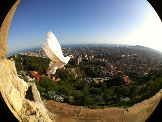  ADRIAN SERNA [Reinosa-Cantabria] _ volant white 