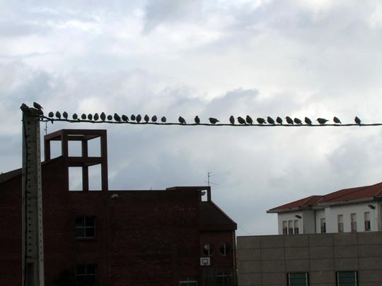  EDURNE MOLINER [Erandio-Vizcaya] _ waiting for hitchcock 