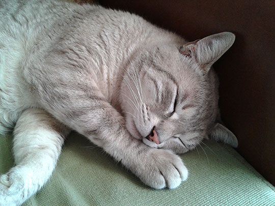  NEUS PAÑART [Barcelona] _ wake up!!! 