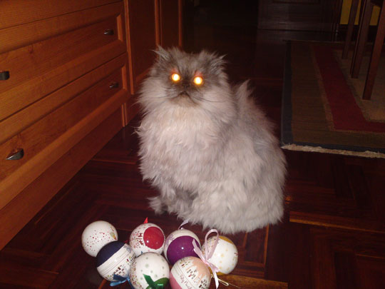  ROCIO OTERO [Redondela-Pontevedra] _ ya es navidad y yo con estos pelos 