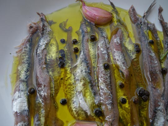  PAU ARENÓS _ anchoas caseras 