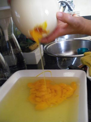  PAU ARENÓS _ avestruz (4) 