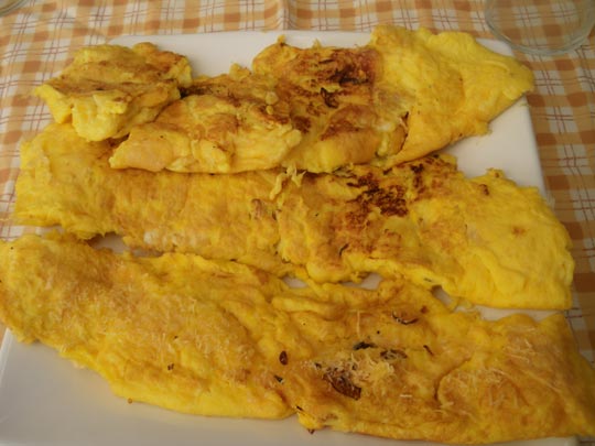  PAU ARENÓS _ avestruz (6) 