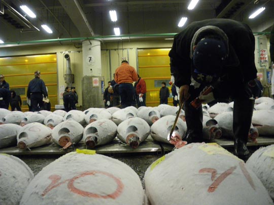  PAU ARENÓS _ bajo cero 