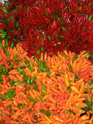  PAU ARENÓS _ bandera 