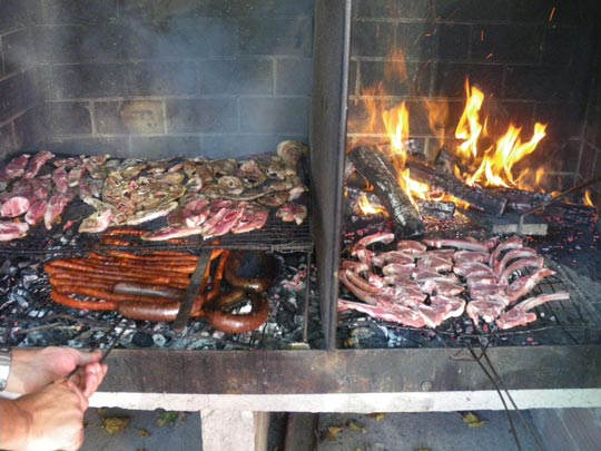  PAU ARENÓS _ carnívoros 