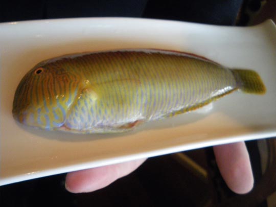  PAU ARENÓS _ el llorito de carme (1) 