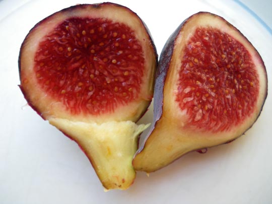  PAU ARENÓS _ esperándote 