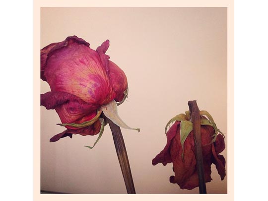  PAU ARENÓS _ estado de ánimo 