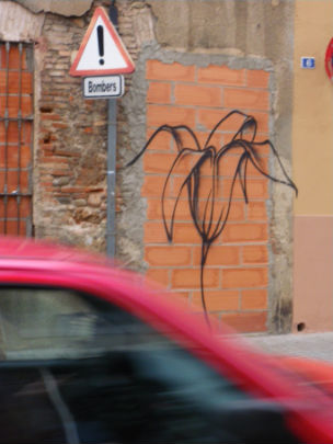  PAU ARENÓS _ flores en el muro (1) 