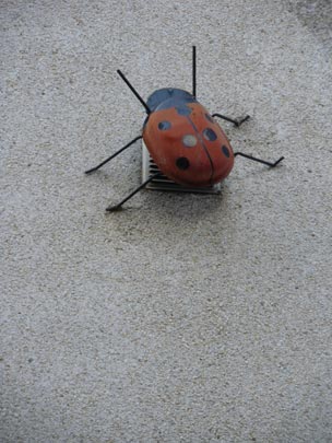  PAU ARENÓS _ invasión extraterrestre 