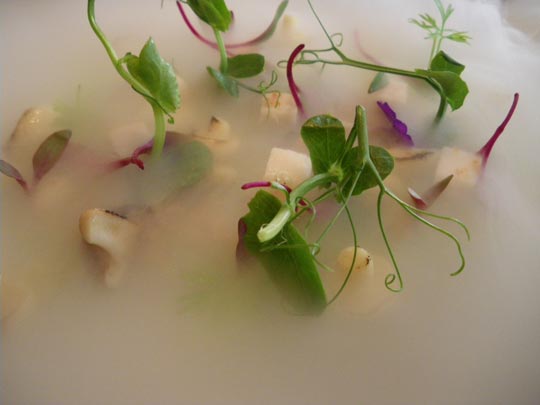  PAU ARENÓS _ la bruma de quique 