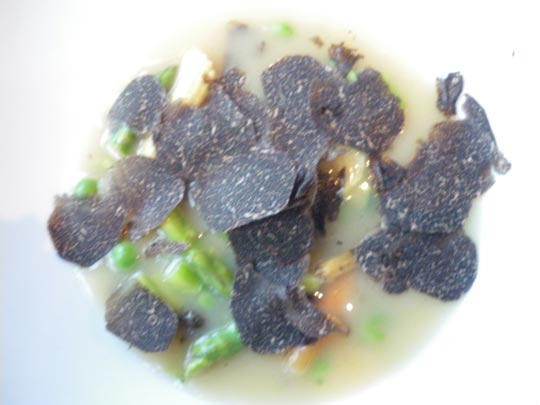  PAU ARENÓS _ la minestrone de carles 