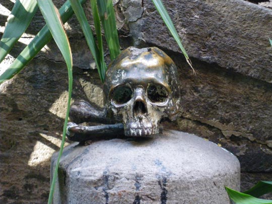  PAU ARENÓS _ no hizo caso del anuncio 