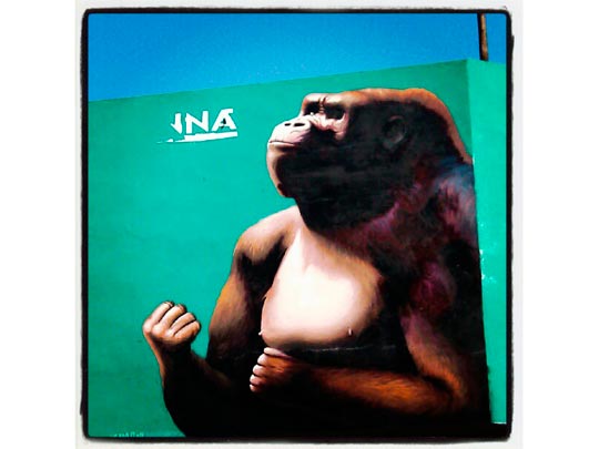  PAU ARENÓS _ nuestro sabio líder 