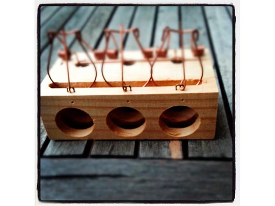  PAU ARENÓS _ patíbulo 