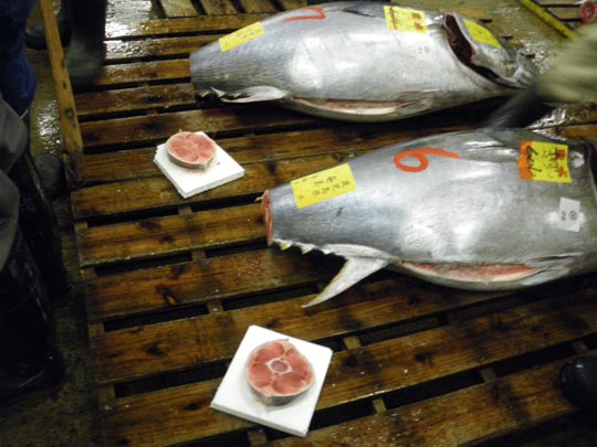  PAU ARENÓS _ póngame un kilo 