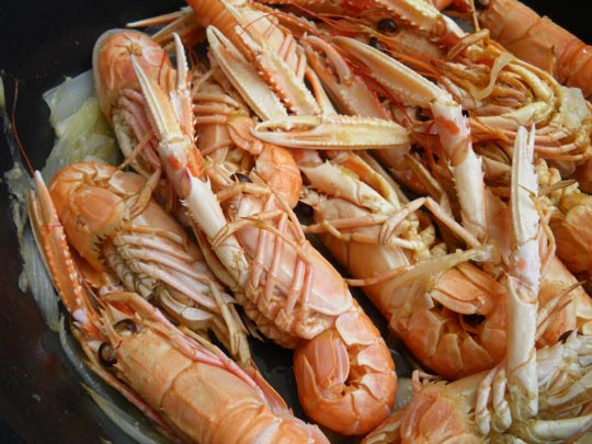  PAU ARENÓS _ tradición y perversión 